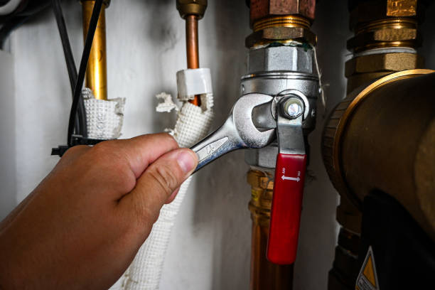 Best Sewer Cleaning Services  in Palm River Clair Mel, FL